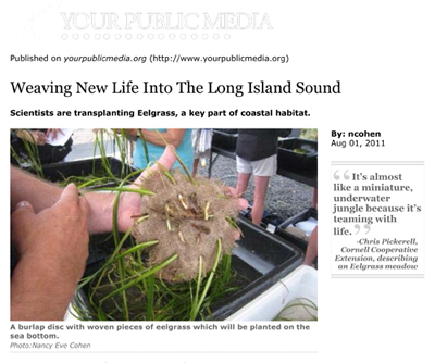 WNPR Weaving new life link